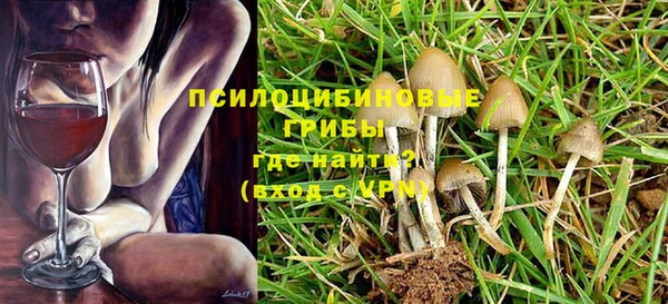 ГАЛЛЮЦИНОГЕННЫЕ ГРИБЫ Надым