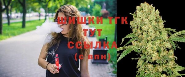 ГАЛЛЮЦИНОГЕННЫЕ ГРИБЫ Надым