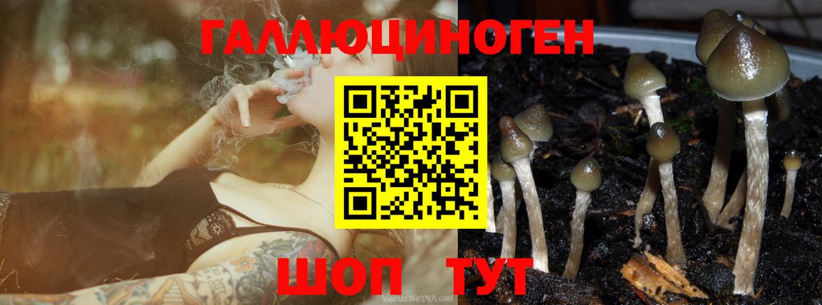 Галлюциногенные грибы Cubensis  Вход с VPN  Фролово 