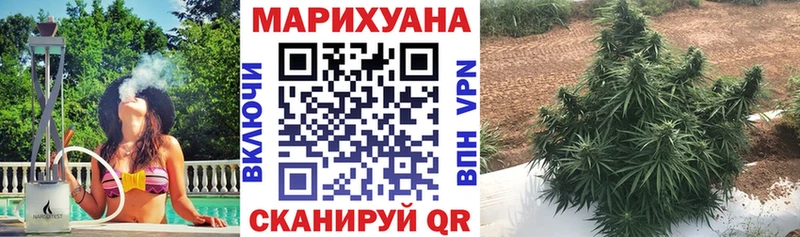 где купить наркоту  Фролово  Каннабис семена 